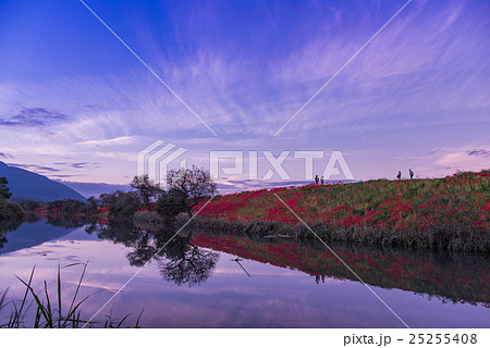 岐阜県海津市 津屋川堤防の彼岸花と散策する人々の写真素材