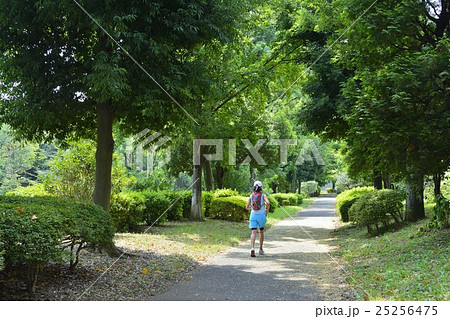 ジョギング 25256475