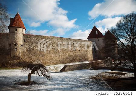 beautiful  photos of Tallinn beautiful  photos of Tallinn 25256611