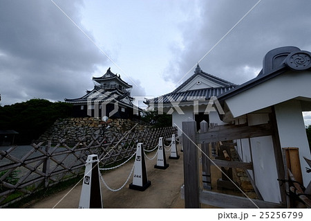 浜松城と天守門 25256799