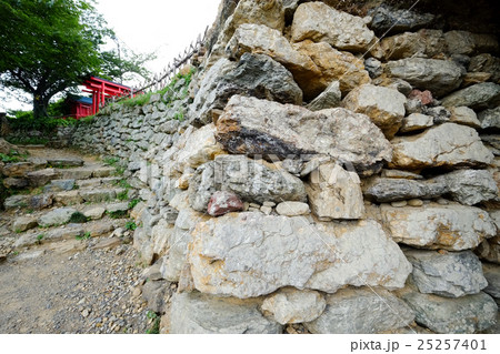 浜松城石垣 25257401
