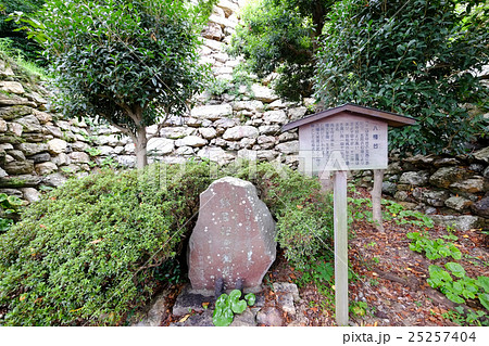 浜松城八幡台 25257404