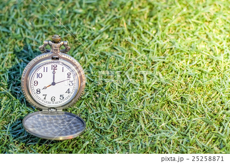 Vintage pocket gold watch with green grass 25258871