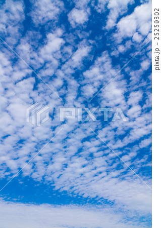 10月の朝の空と雲(レタッチでより青く縦) 10月の朝の空と雲(レタッチでより青く縦) 25259302