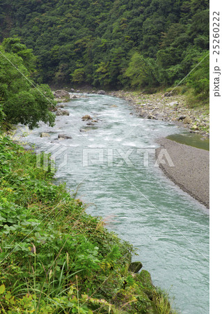 和歌山県有田川上流 25260222