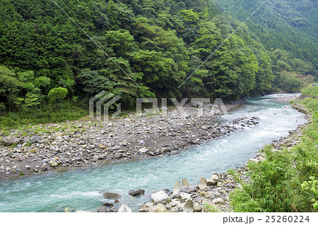 和歌山県有田川上流 25260224