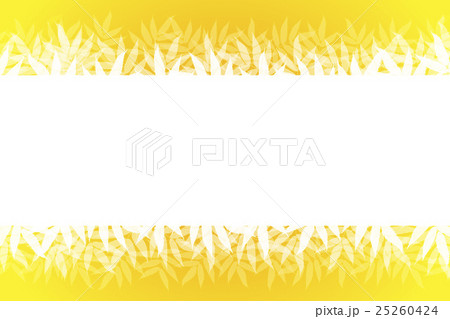 背景素材壁紙,夏,自然,コピースペース,ホワイトスペース,笹の葉,笹林,ささ,ササ,深緑,山林,新緑 25260424