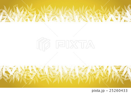 背景素材壁紙,夏,自然,コピースペース,ホワイトスペース,笹の葉,笹林,ささ,ササ,深緑,山林,新緑 背景素材壁紙,夏,自然,コピースペース,ホワイトスペース,笹の葉,笹林,ささ,ササ,深緑,山林,新緑 25260433