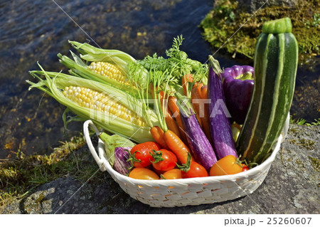 北海道の新鮮野菜 北海道の新鮮野菜 25260607