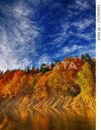 autumn forest by the river 25260801