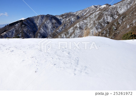 雪化粧の丹沢山地と遠くの富士山 25261972