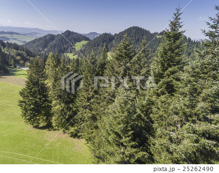 Panorama from Pieniny to Czorsztyn Lake and Tatra Panorama from Pieniny to Czorsztyn Lake and Tatra 25262490