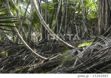 Ruin of abandoned building on Ross Island. India Ruin of abandoned building on Ross Island. India 25262665