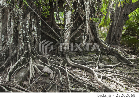 Ruin of abandoned building on Ross Island. India 25262669