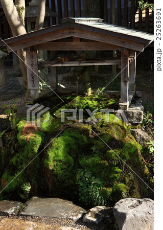 八坂神社より 八坂神社より 25263691