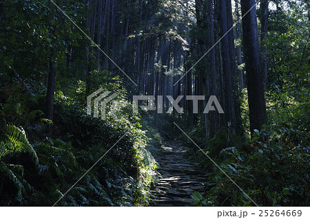 【熊野古道】馬越峠 【熊野古道】馬越峠 25264669