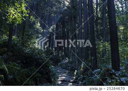 【熊野古道】馬越峠 【熊野古道】馬越峠 25264670