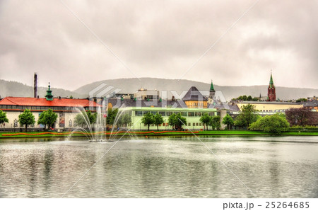 Lille Lungegardsvannet lake in the city centre of Lille Lungegardsvannet lake in the city centre of 25264685