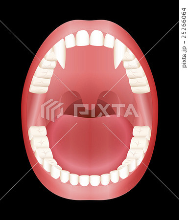 open mouth diagram