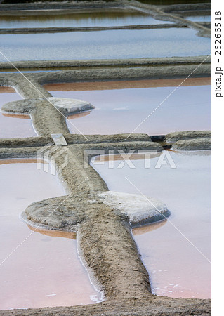 Salt evaporation pond in Guerande 25266518