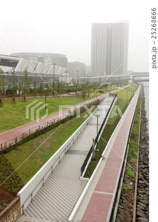 雨の豊洲 雨の豊洲 25268666