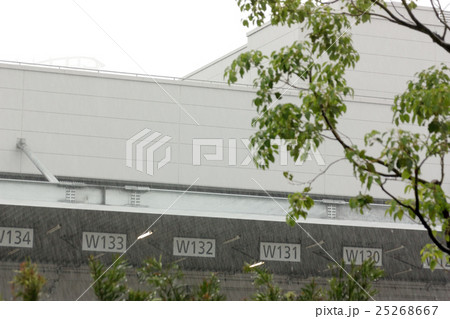 雨の豊洲 25268667