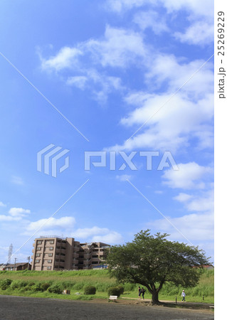 夏の多摩川河川敷 夏の多摩川河川敷 25269229