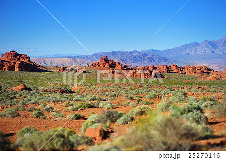 Sandstone formations in Valley of Fire State Park 25270146