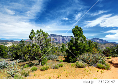Dixie National Forest near Yant Flat formations 25270147