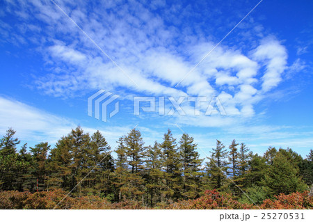 爽やかな美ヶ原高原の空 爽やかな美ヶ原高原の空 25270531