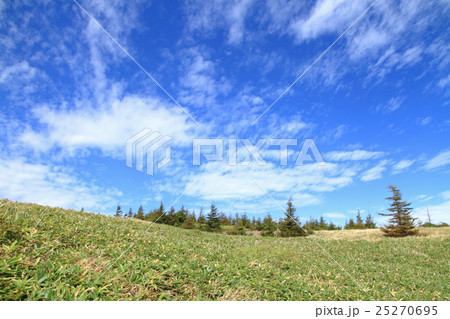 美ヶ原高原　秋の空 25270695