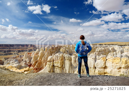 Hiker admiring views of sandstone formations of Coal Mine Canyon, Arizona Hiker admiring views of sandstone formations of Coal Mine Canyon, Arizona 25271025