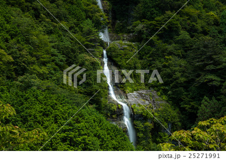 程野の滝 西滝(赤滝)(高知県いの町) 程野の滝 西滝(赤滝)(高知県いの町) 25271991