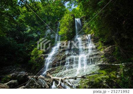 程野の滝 権現滝(高知県いの町) 程野の滝 権現滝(高知県いの町) 25271992
