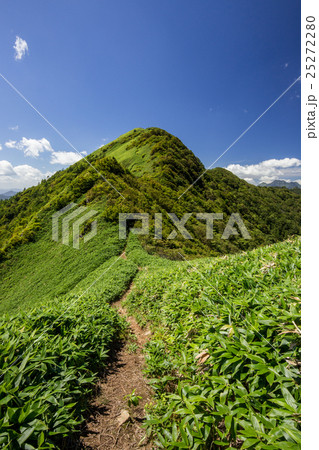 東黒森（石鎚山系） 25272280