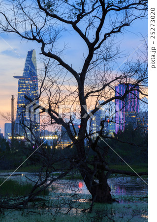 Ho Chi Minh city view through dry tree at night 25273020