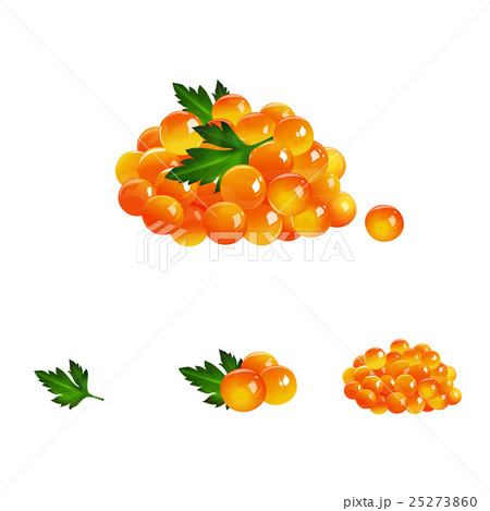 Red Caviar, Isolated Illustration 25273860