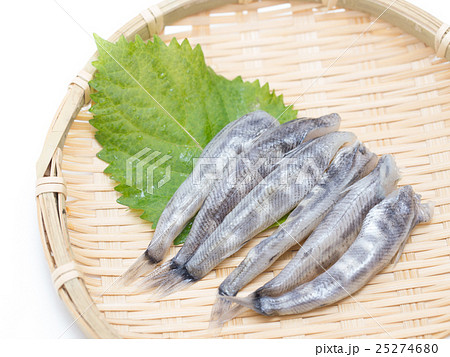 メヒカリ メヒカリ 25274680