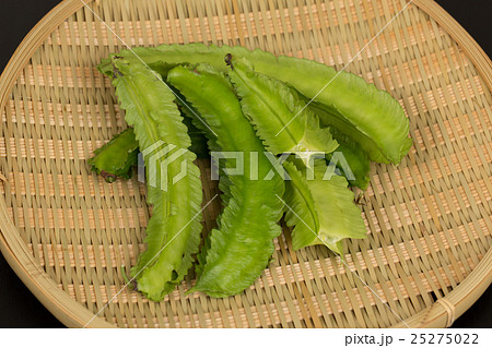 四角豆 四角豆 25275022