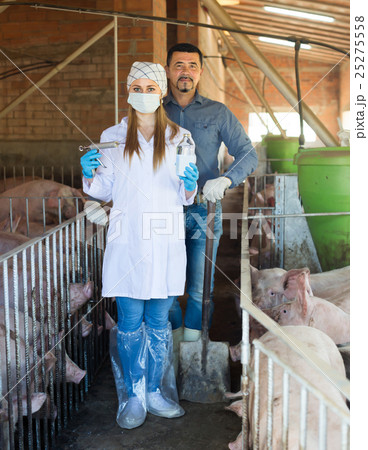 Veterinarian standing with farmer 25275558