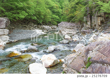 新緑の川迫川渓谷とその流れ 25276709