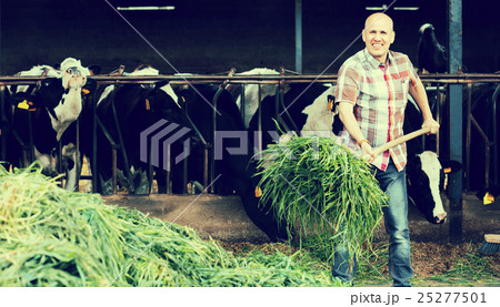 worker collecting grass 25277501