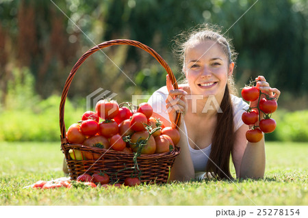 woman picking tomato in field woman picking tomato in field 25278154