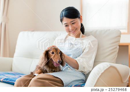 dog lover dog lover 25279468