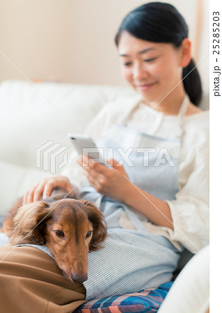 dog lover 25285203