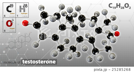 3d Illustration of testosterone neurotransmitter 25285268