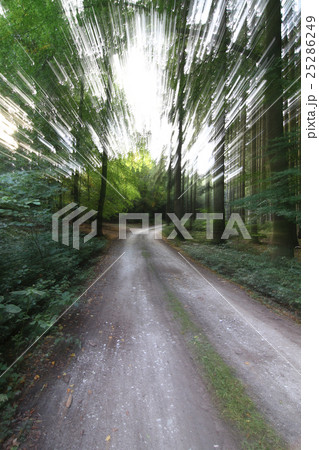 Quickly on the forest road Quickly on the forest road 25286249