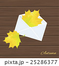 illustration with autumn leaves 25286377