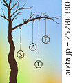 Autumn Sale 25286380