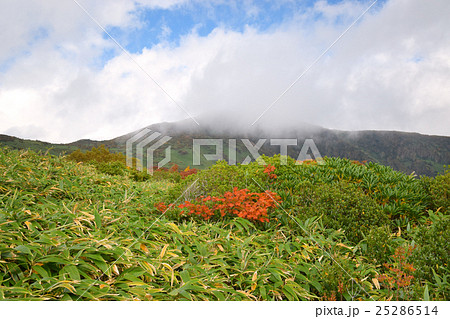 那須連峰登山道から見る赤面山 25286514